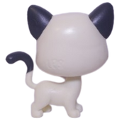 No # Siamese Cat "Cozy Corner"